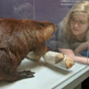 Meet your Posher, Ashton